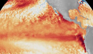 Is It a Super El Niño Year? It Could Turn the World’s Weather Upside Down