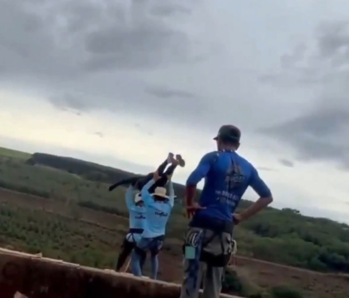 The workers forgot to attach the rope before pushing Maria off