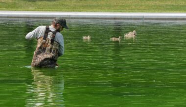 Reflecting Pool Green Again After Trump’s $14 Million Renovation