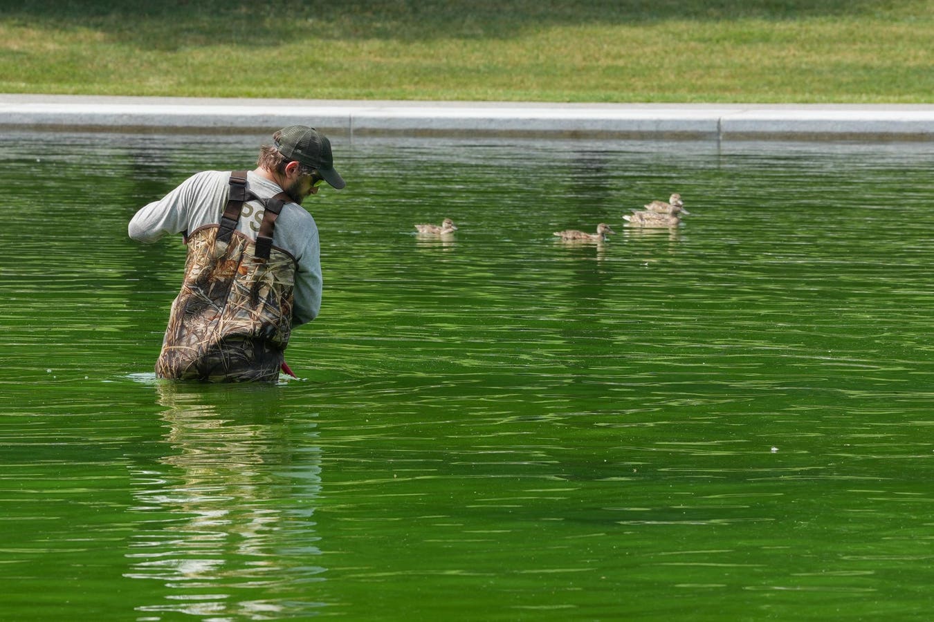 Reflecting Pool Green Again After Trump’s $14 Million Renovation