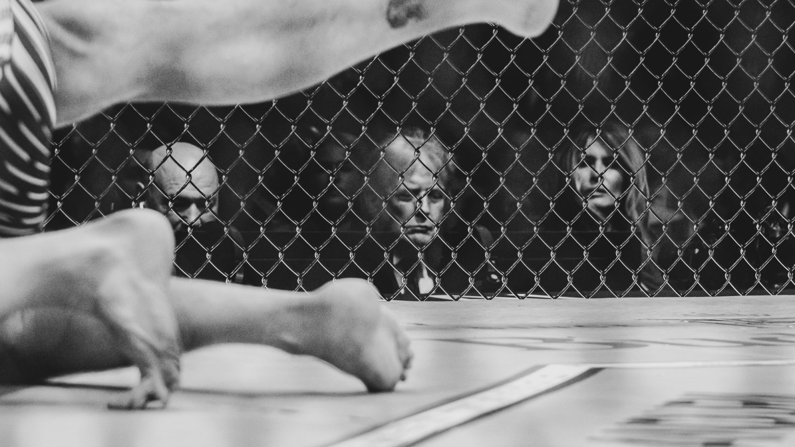 Donald Trump at the UFC's Freedom 250 event at the White House.