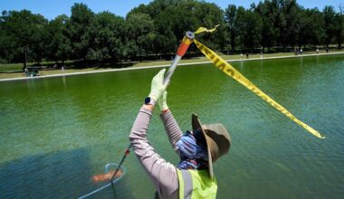 Green Reflecting Pool Treated With Hydrogen Peroxide (Photos)