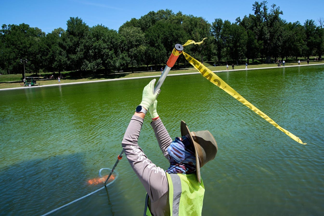 Green Reflecting Pool Treated With Hydrogen Peroxide (Photos)