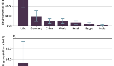 Environmental damages of the top ten percent consumers exceed global climate and biodiversity funding gaps