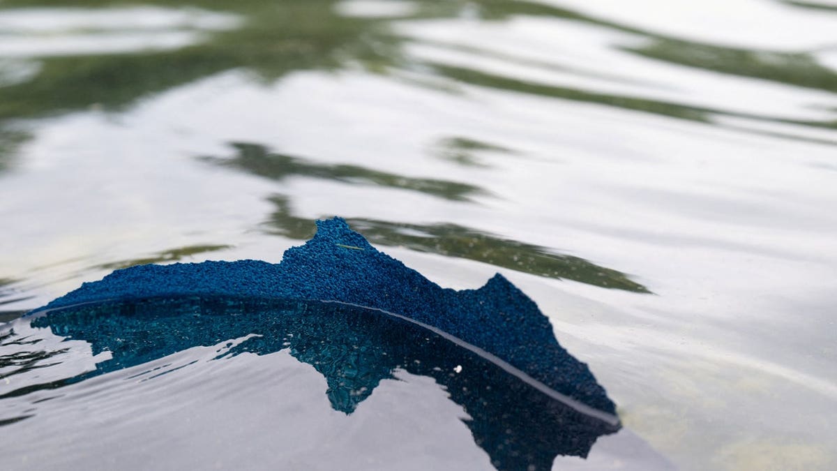 Paint peels from the bottom of the Lincoln Memorial Reflecting Pool