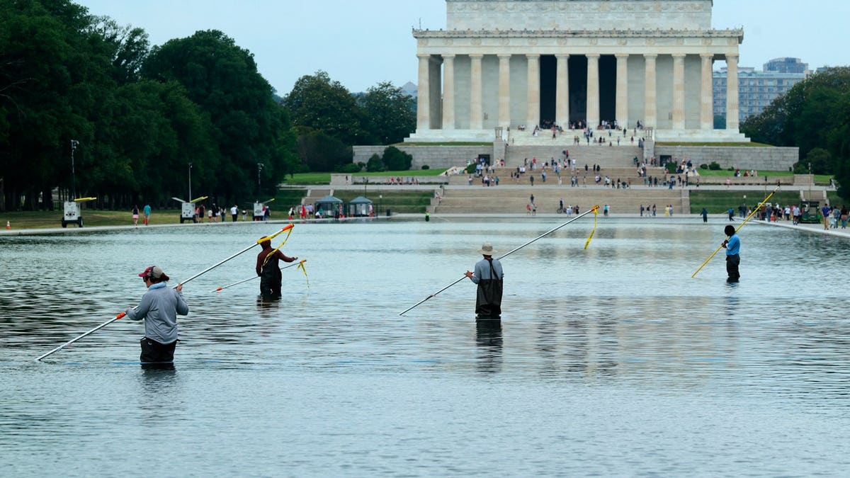 National Park Service employees in the Lincoln Memorial Reflecting Pool