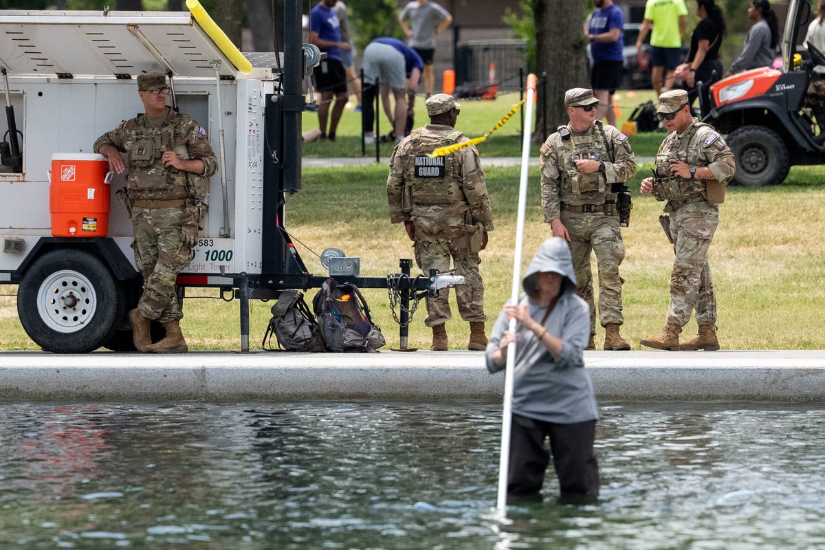 Dead duckling found in Reflecting Pool as Trump’s paint job falls apart and DOJ hunts for ‘vandals’
