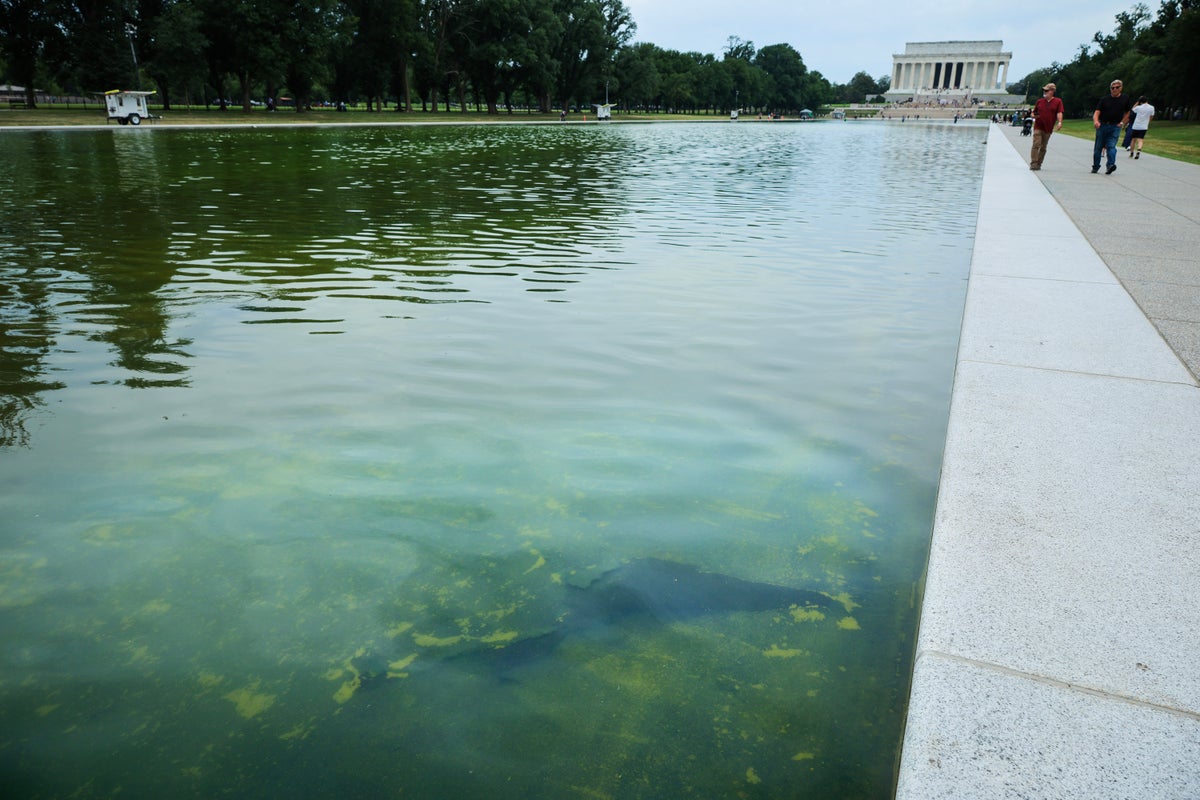 Trump claims he will sue ABC over Reflecting Pool renovations report: ‘I like their money’