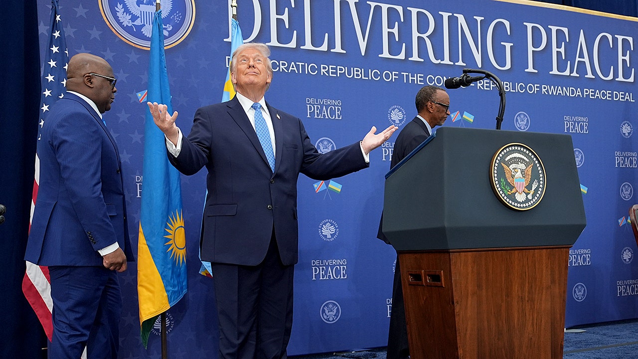 US challenges China's rare earth minerals dominance with Congo mining deal