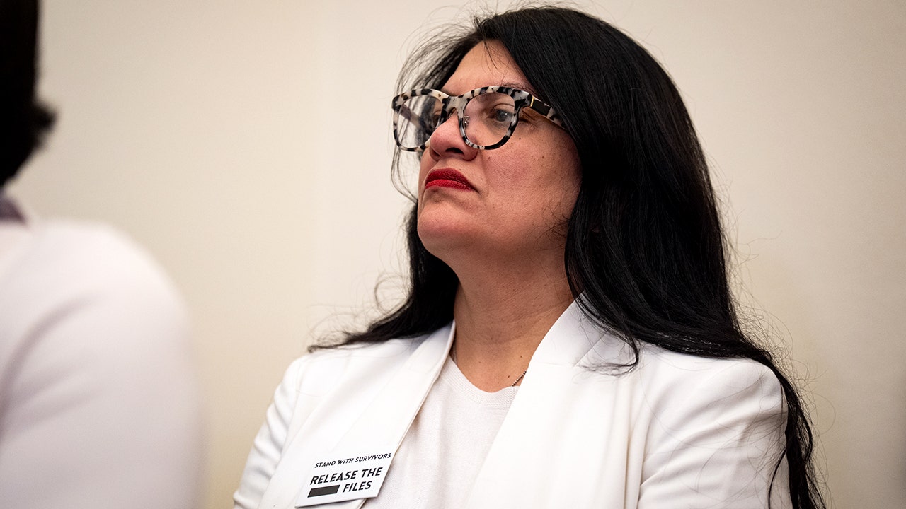 Rep Rashida Tlaib faces backlash for defending convicted antifa members
