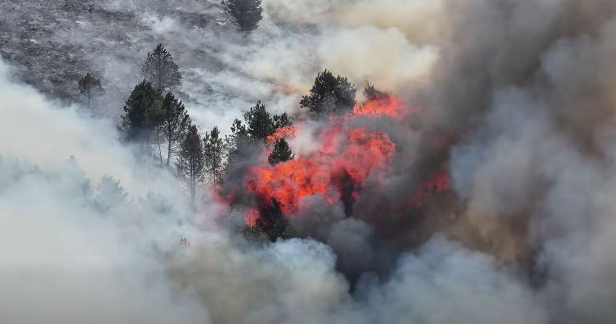 An area of woodland also caught fire