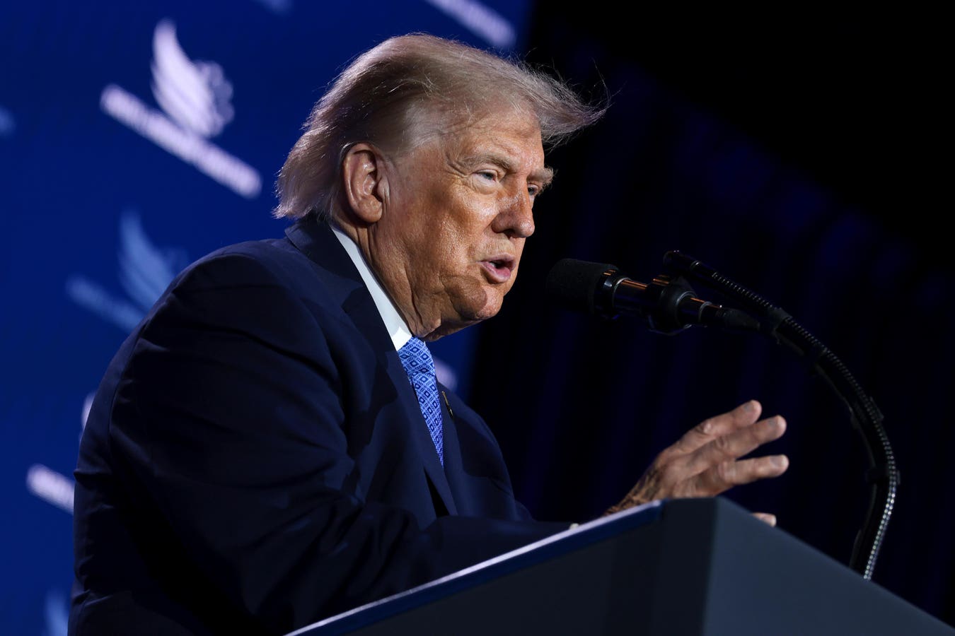 Trump Triples Down On Reflecting Pool Vandalism Claims