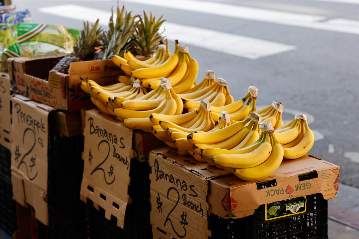 A fruit stand on West 7th Street sells bananas for $2 per bunch.