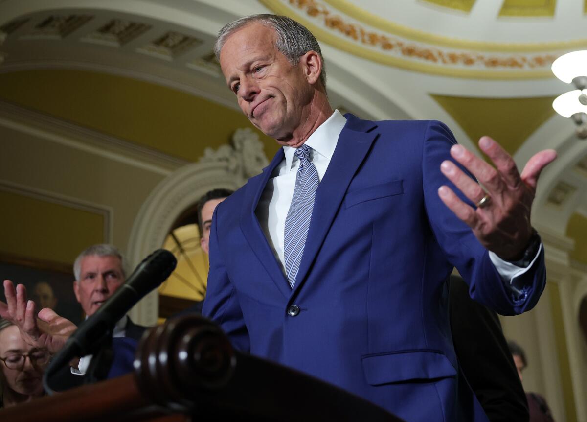 Senate Majority Leader John Thune (R-SD) speaks to reporters