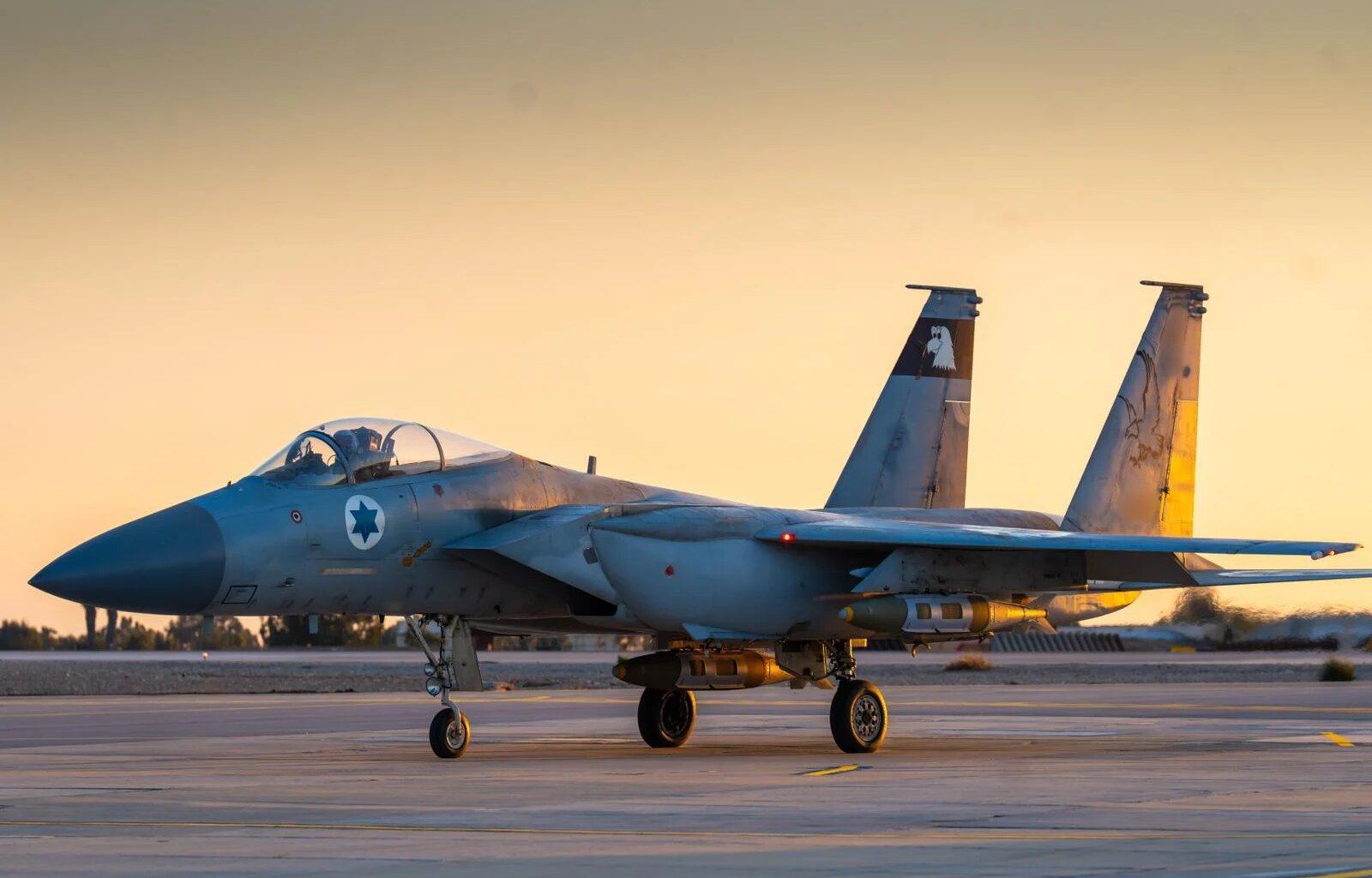 Israeli Air Force chief confirms major strike on Iran was called off last week