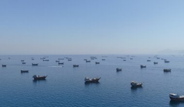 Did US sneak 100 million barrels of oil out of Hormuz, as Trump claims? | US-Israel war on Iran News