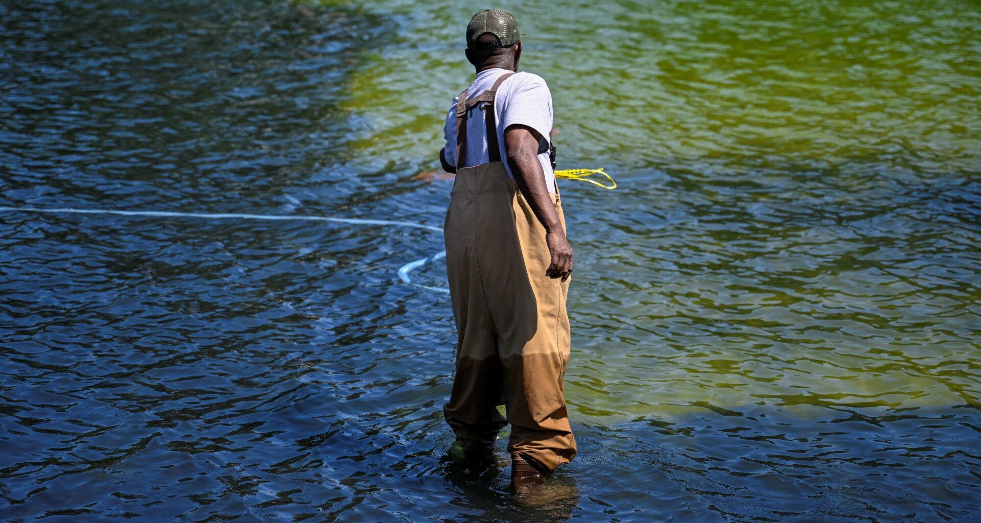 Why Washington’s reflecting pool has gone from ‘US blue’ to algae green | Donald Trump News
