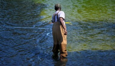 Why Washington’s reflecting pool has gone from ‘US blue’ to algae green | Donald Trump News