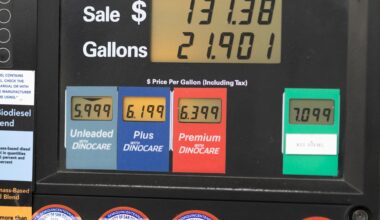 Trump tells US petrol retailers to reduce prices ‘immediately’ | Donald Trump