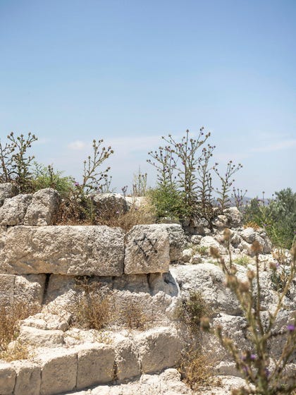 Sebastia. Someone painted Stars of David on Hellenistic period remains. Credit: Itai Ron Sebastia. Someone painted Stars of David on Hellenistic period remains.