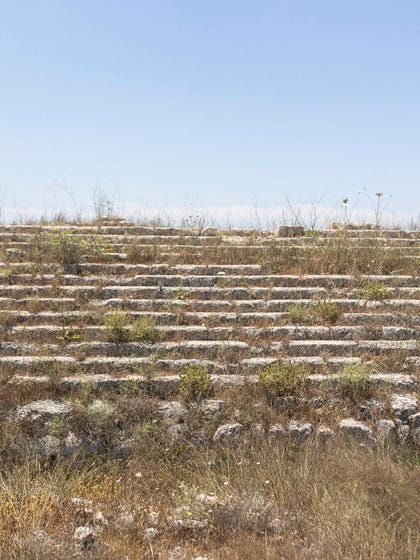 Sebastia. Ancient agricultural terraces. Credit: Itai Ron Sebastia. Ancient agricultural terraces.