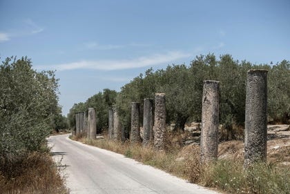 Sebastia. Along the main avenue of the Roman city, 600 impressive stone columns remain. Credit: Itai Ron Sebastia. Along the main avenue of the Roman city, 600 impressive stone columns remain.