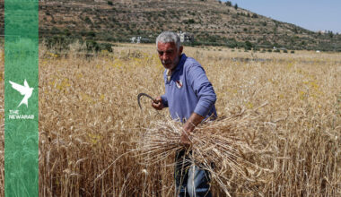 US boosts Israel farm fund amid Palestine land dispossession