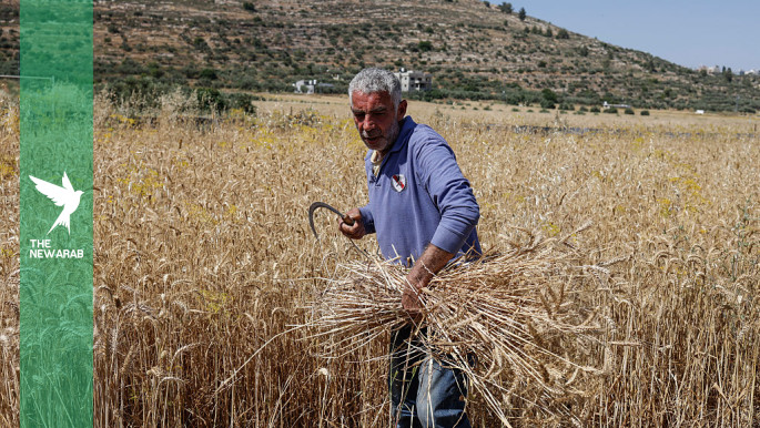 US boosts Israel farm fund amid Palestine land dispossession