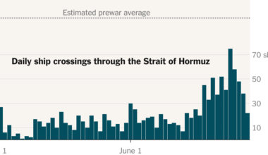 Ships Pull Back Amid Heightened Risk From U.S.-Iran Strikes