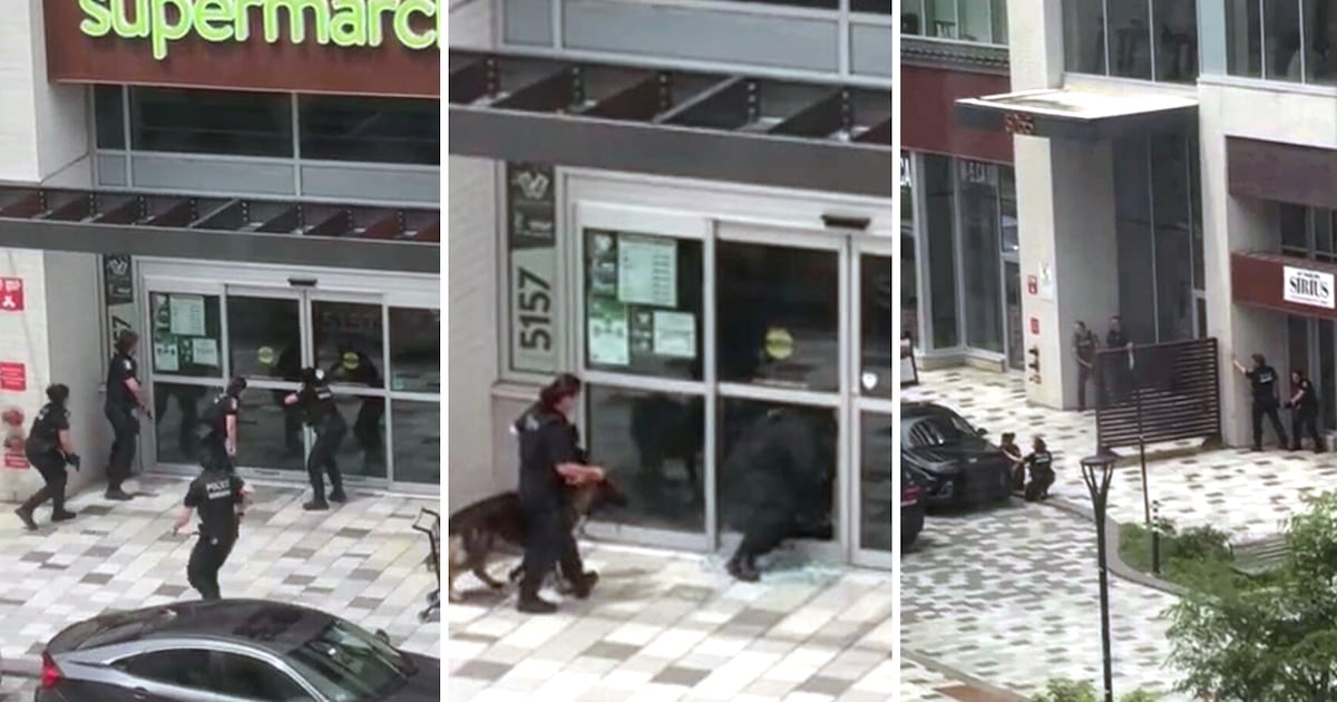 Montreal shooting: 3 dead, including police officer