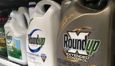 US Supreme Court scales back Roundup cancer lawsuits in victory for company | Courts News