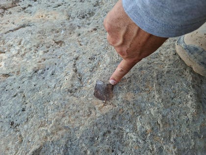 Stone tool, suspected of having been burned, in situ. Credit: Ruth Schuster Stone tool, suspected of having been burned, in situ
