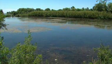 Mimico Creek diesel spill: Crews responding