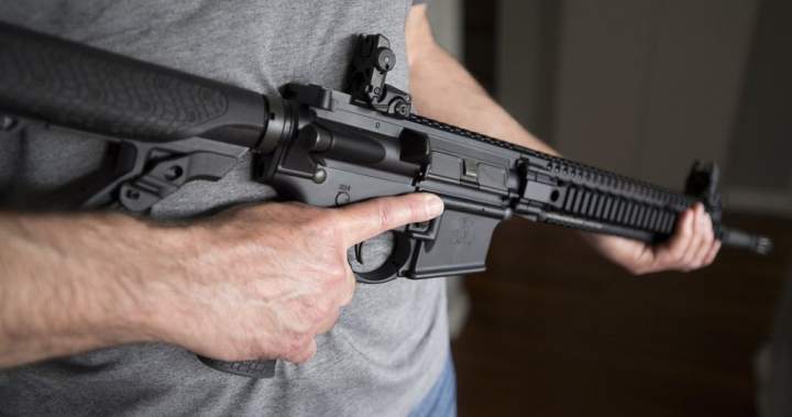 Ottawa extends amnesty for banned firearms amid Supreme Court challenge - National