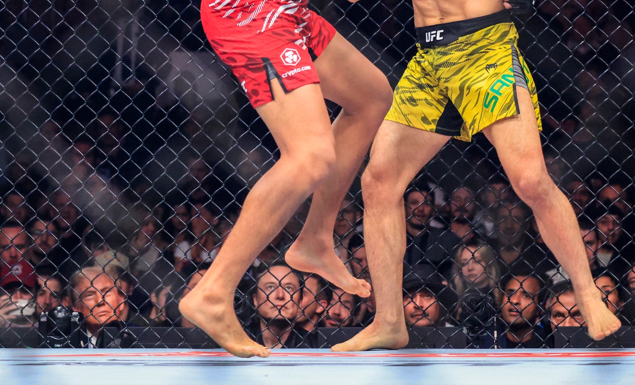 Donald Trump (L) and Tesla and SpaceX CEO Elon Musk watch a fight during UFC 309 at Madison Square Garden in New York, on Nov. 16, 2024. 