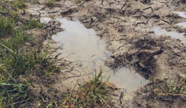 Woman Missing For 3 Days Found Alive Stuck On Back In Mud Puddle 'Like Quicksand'