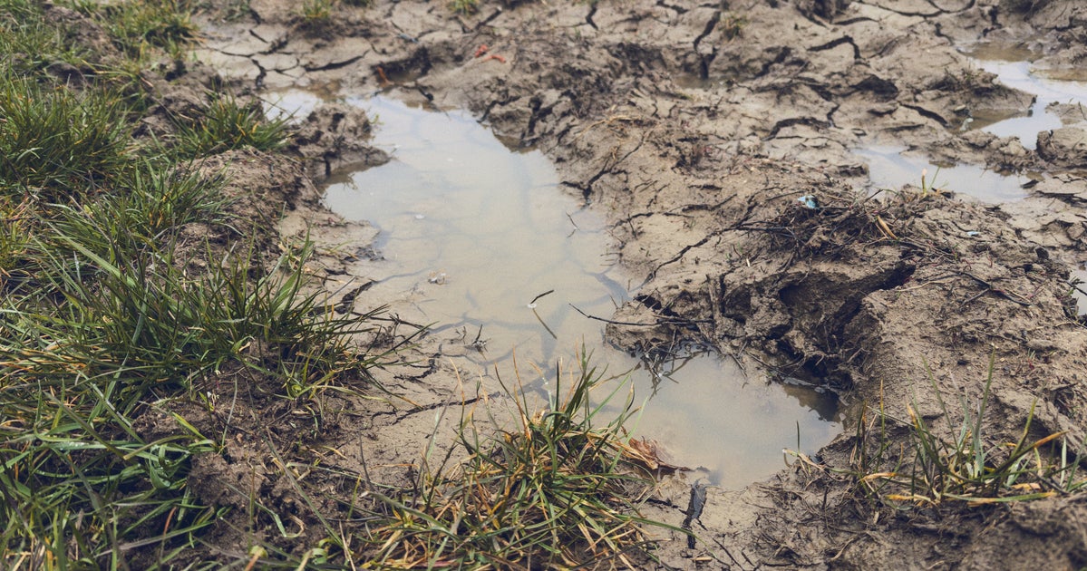 Woman Missing For 3 Days Found Alive Stuck On Back In Mud Puddle 'Like Quicksand'