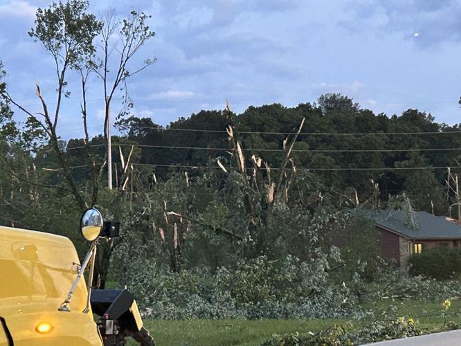 Snapped trees in Freetown, Indiana