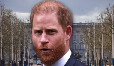 Prince Harry humiliated as royal security insider exposes 'nonsense' claim | Royal | News