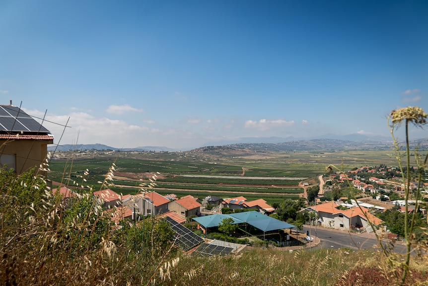 A view of a lush landscape dotted with houses.