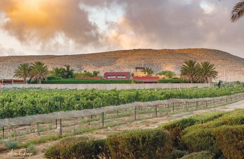 THE NEGEV’S Shanti House center offers at-risk youngsters therapeutic horseback riding, hydrotherapy, art therapy, and communing with nature.