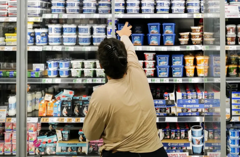 Dairy products in a supermarket