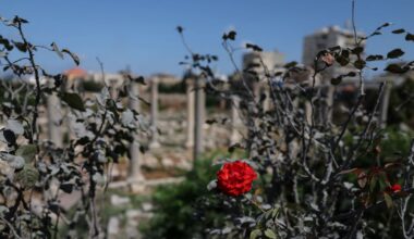 The Jerusalem Post - Israel News