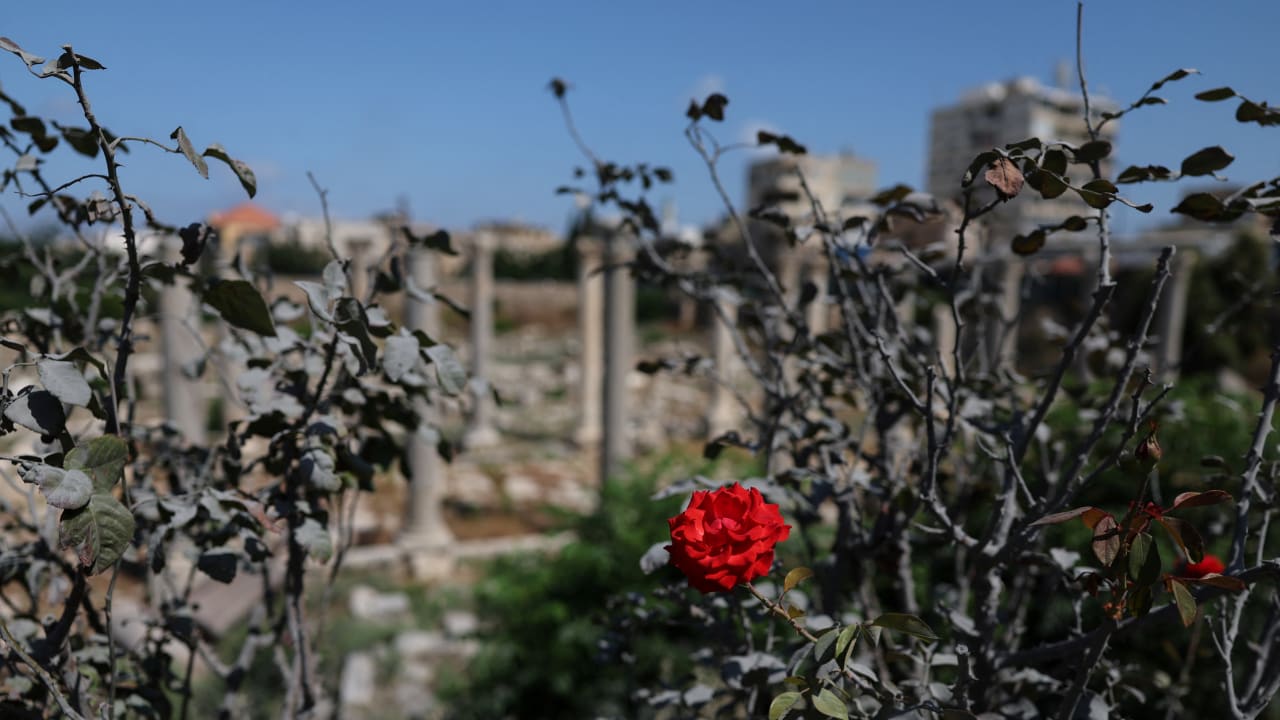 The Jerusalem Post - Israel News