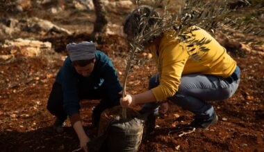 The Jerusalem Post - Israel News