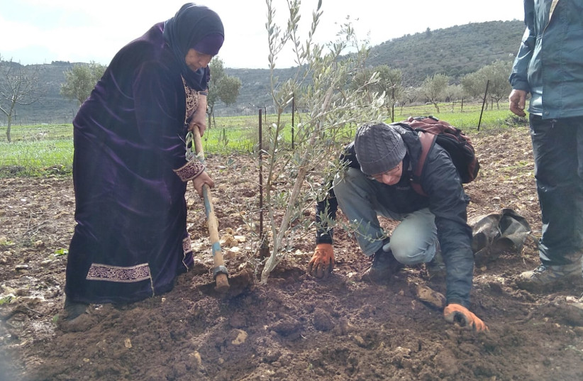Participants in an alternative Israel tour help Palestinians by planting trees in the village of Ein Samiya in the West Bank.