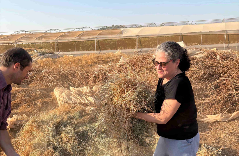 After Oct. 7, Rabbi Sarah Reisman, a congregational rabbi at Temple Emanu-El in New York City, joined a T’ruah delegation of rabbis doing protective presence in the West Bank.