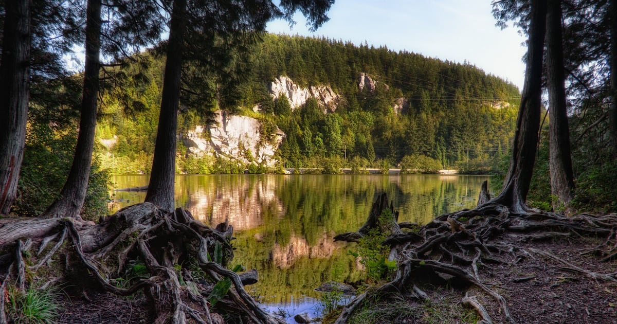 Bodies of missing paddleboarders recovered from Squamish, B.C., lake - CTV News