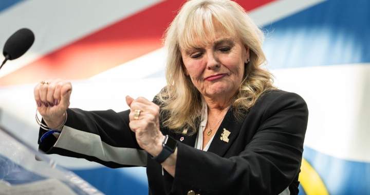 Full interview: One-on-one with new BC Conservative leader Kerry-Lynne Findlay