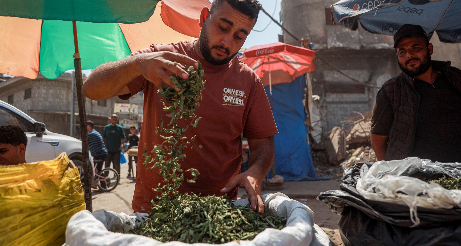 Molokhia cigarettes: Gaza’s toxic alternative to tobacco | Israel-Palestine conflict News
